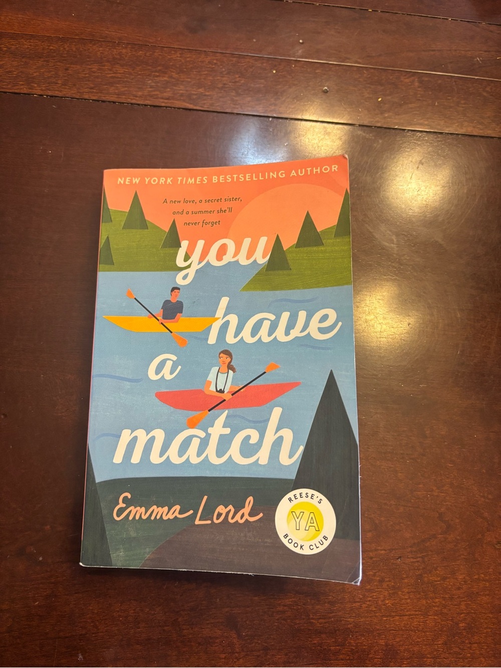 You Have a Match by Emma Lord - Young Adult Romance Paperback Book
